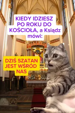 kot w kościele 