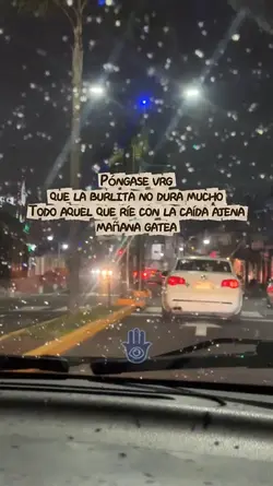 Ponte vrg