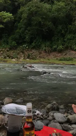 nature therapy 🍃✨