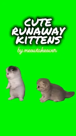 CUTE RUN AWAY