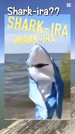 Shark-ira 