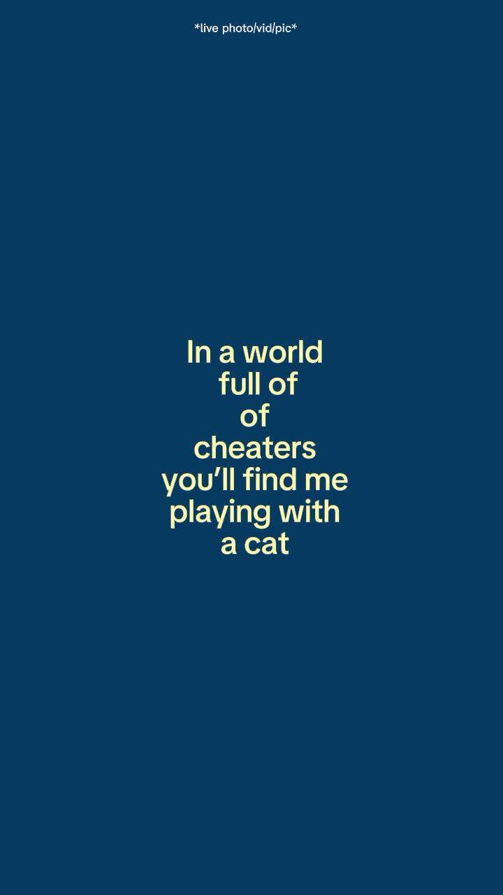 Findmeplayingacat