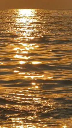 Namun tenng