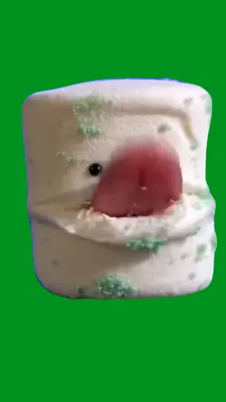 mold fat