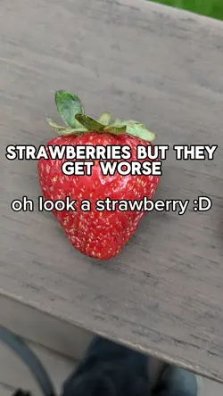 Went strawberry pick