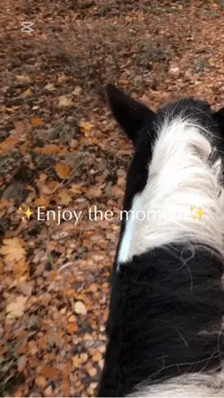 Enjoy the moment🙏