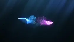 butterfly intro ²⁷