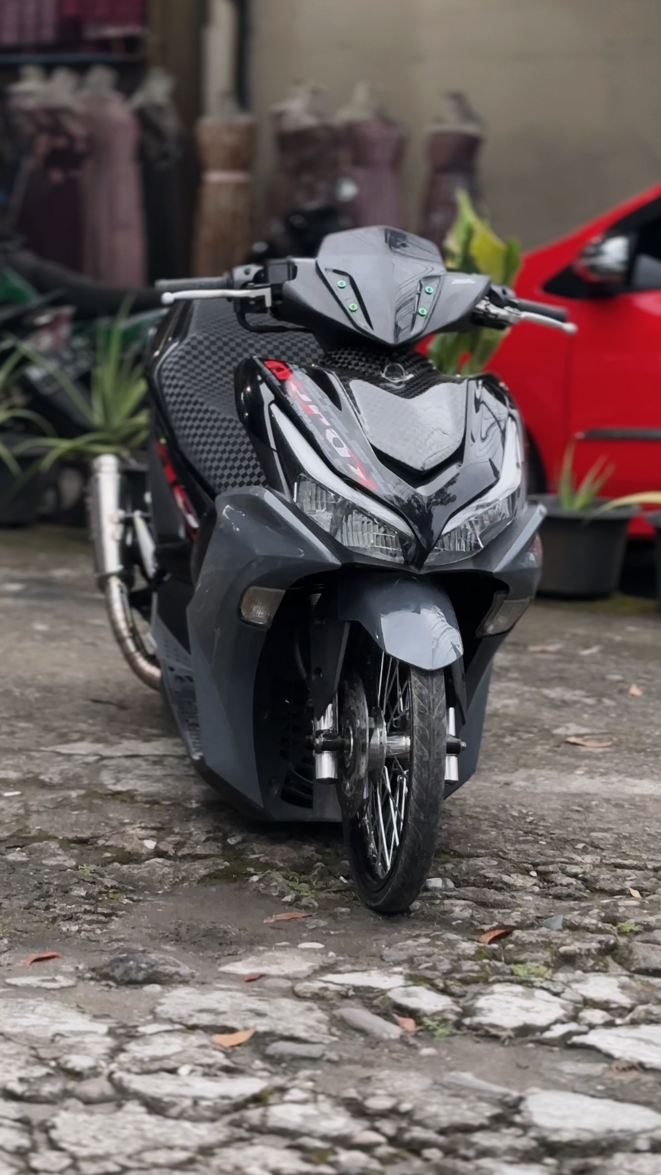 Cover Picture