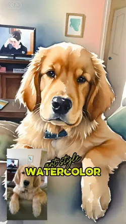 PET Water colour art