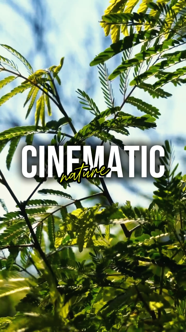 NATUREZA CINEMÁTICA