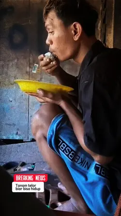 Tanam Telor