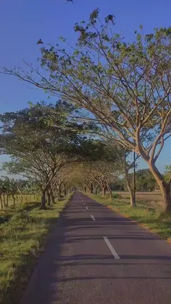 iseh sok kelingan 