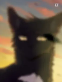 Mój ukochany Kruczek