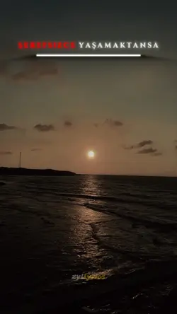 Eşref Tek - Şablon 