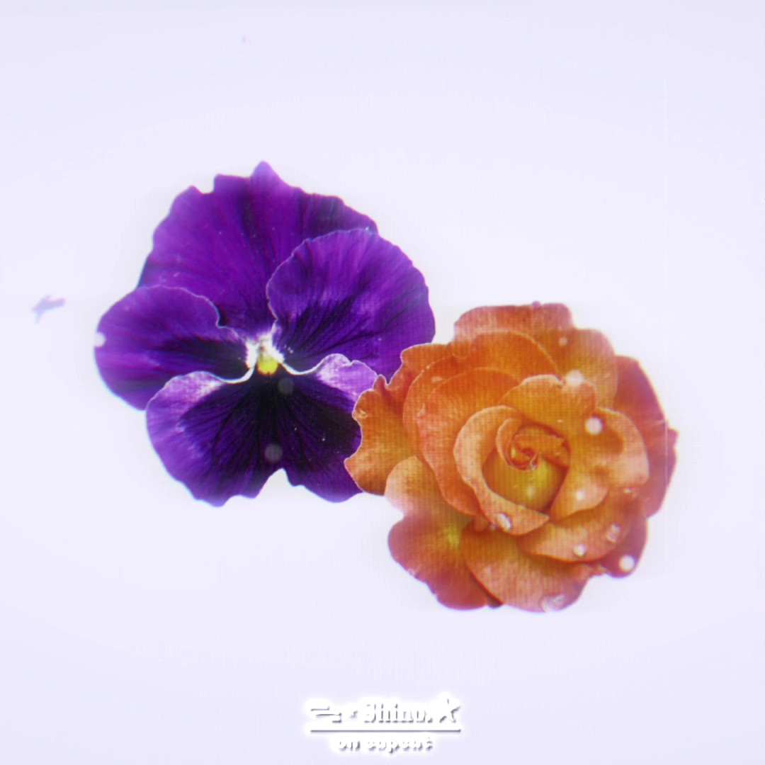 Tendencia de flores