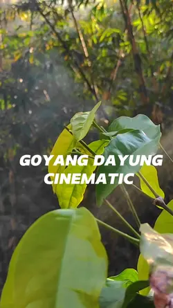Aees Cinematic