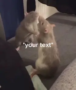 fighting Rats
