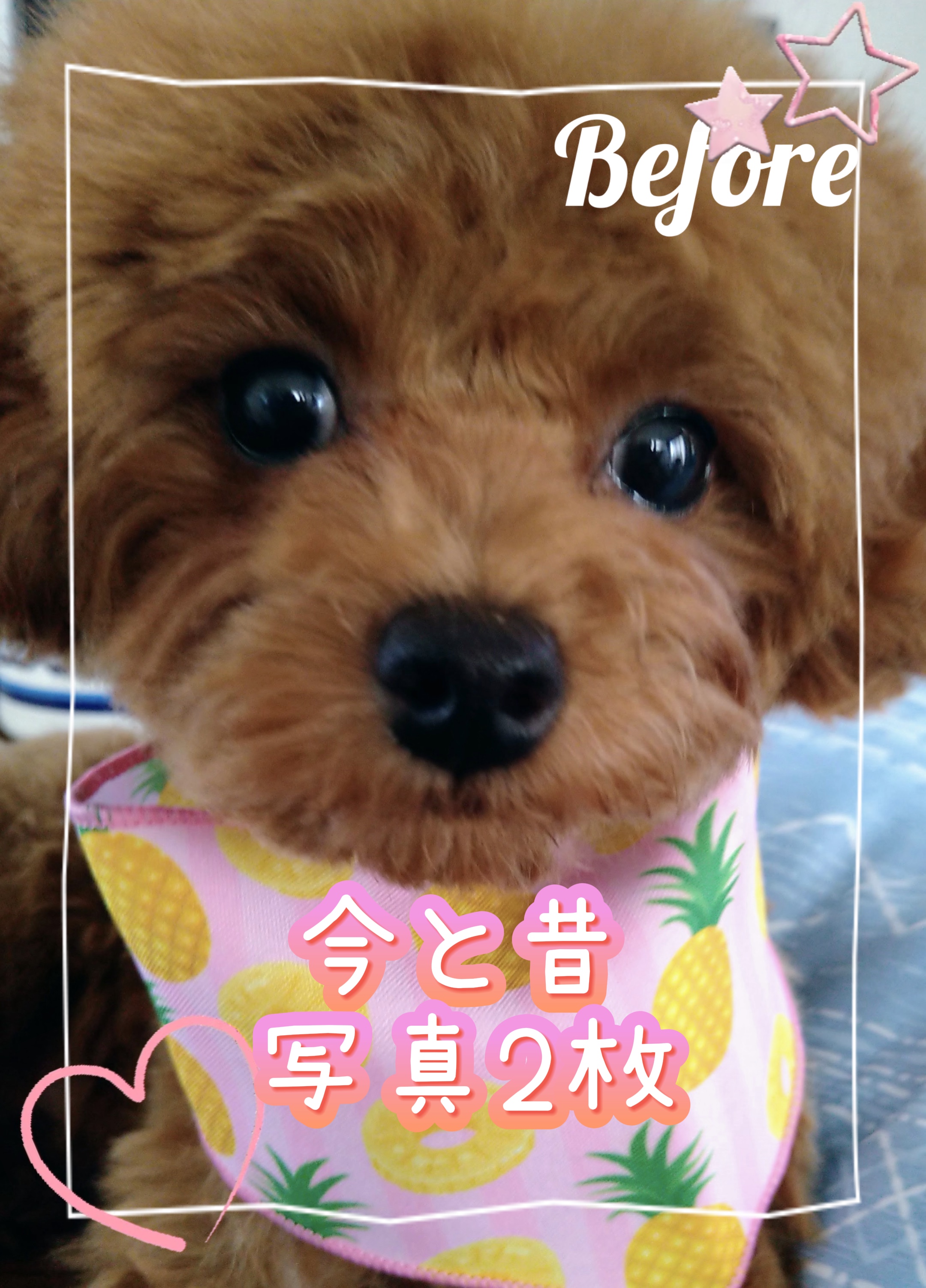 大きくなりました/写真2枚