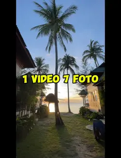 1 video 7 foto