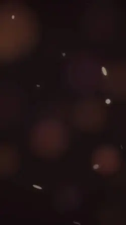 10 kasım 🇹🇷