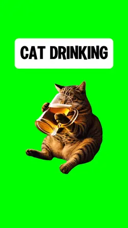 CAT DRINKING