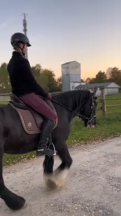 california love slow