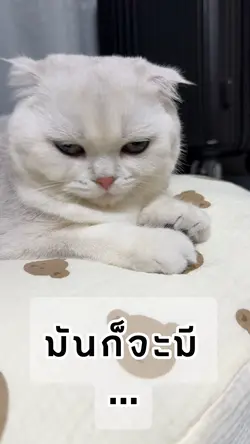 เพิ่ม 1 คลิป