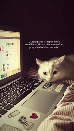 kata kata
