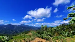 lanscape hd