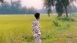 cinematic video..