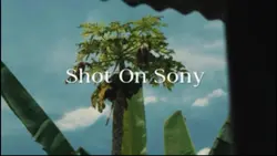 Cinematic Color