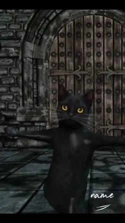 cat