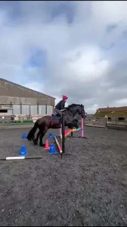 Show jumping clinic