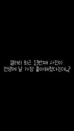 갤러리 최근 13번째 사진