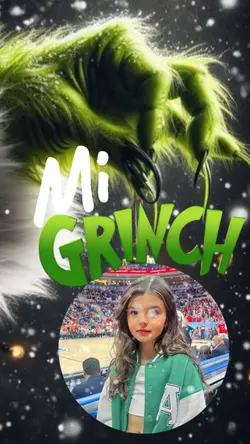 Mi Grinch 