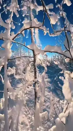 Winter | 2 Clips