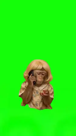 Monkey On The Phone 