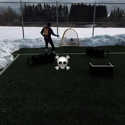 Freeze Edit 1:1