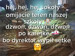 hej sokoły