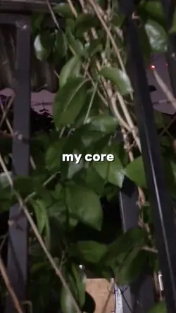my core 10