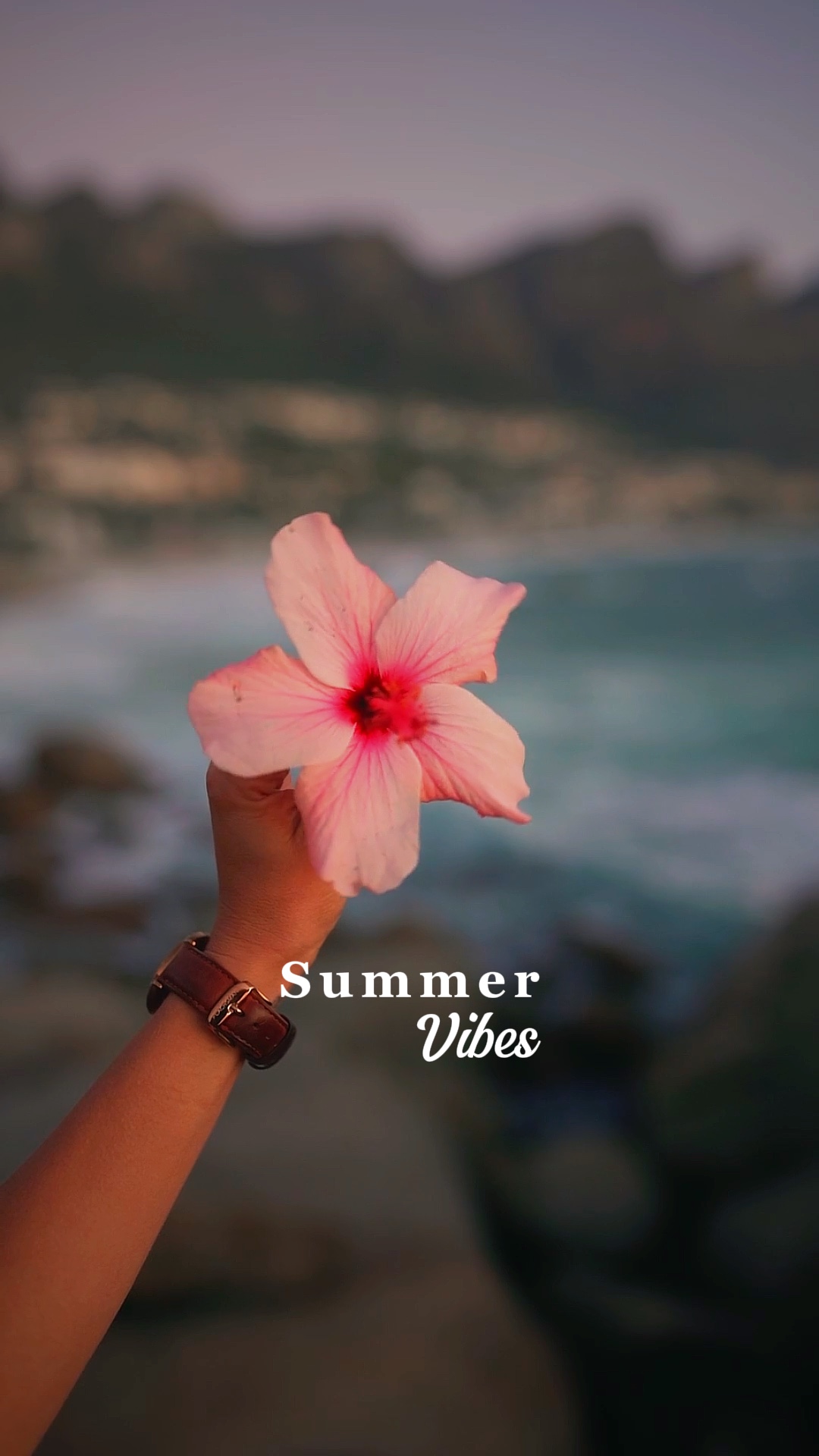 Vibraciones de verano