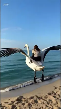 Riding a swan