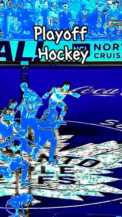 Playoff Hockey 