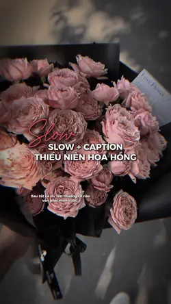 Slow màu