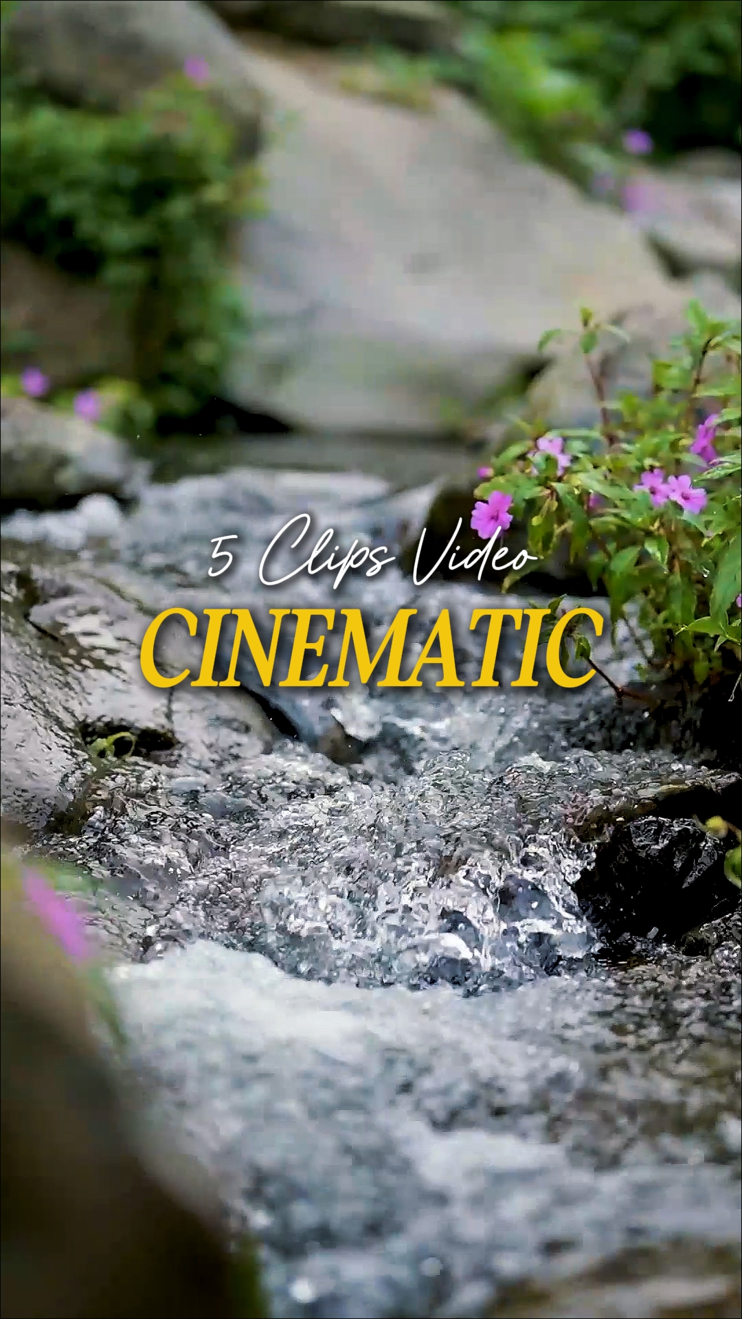 Vídeo Cinematográfico 5