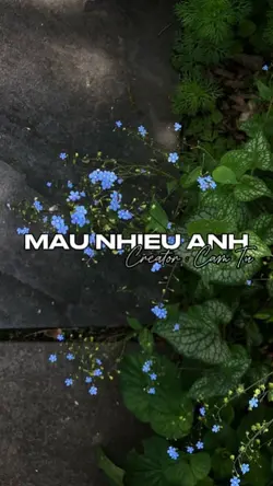 [31]Mẫu nhiều ảnh