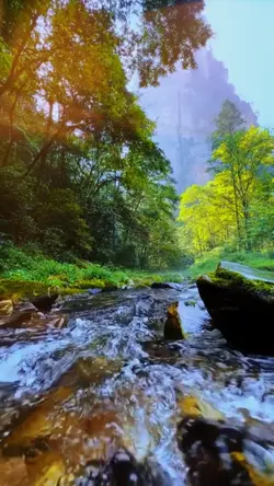 nature aesthetic
