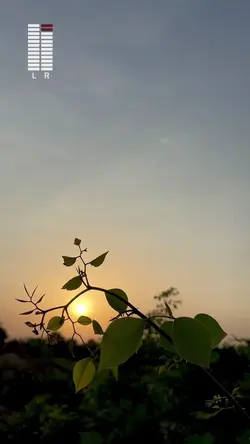 sunset, 1video+7foto