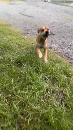 Nimbus!