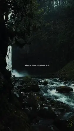 where time standars 